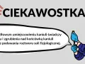 Pielęgniarka z kaniulą w ręku. Brak bólu i zgrubienia świadczy o prawidłowym umiejscowieniu kaniuli w żyłach obwodowych.