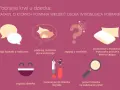 Zasady pobierania krwi u dziecka: kontakt z rodzicem, jasne instrukcje, pytanie o omdlenia, informacja o pobraniu na leżąco, zagadywanie, rozmowa jak z dorosłym, pozwolenie na pytania.