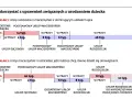 Schemat pokazuje, ile trwa urlop macierzyński i rodzicielski w różnych wariantach podziału między rodziców.