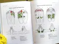Ilustracje z książki pokazują punkty na stopach do terapii. Kurs refleksologii pomaga zrozumieć powiązania między stopami a różnymi częściami ciała.