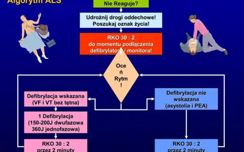 Algorytm ALS: nie reaguje? Udrożnij drogi oddechowe, poszukaj oznak życia. RKO 30:2 do momentu podłączenia defibrylatora. To kluczowe w pierwszej pomocy.