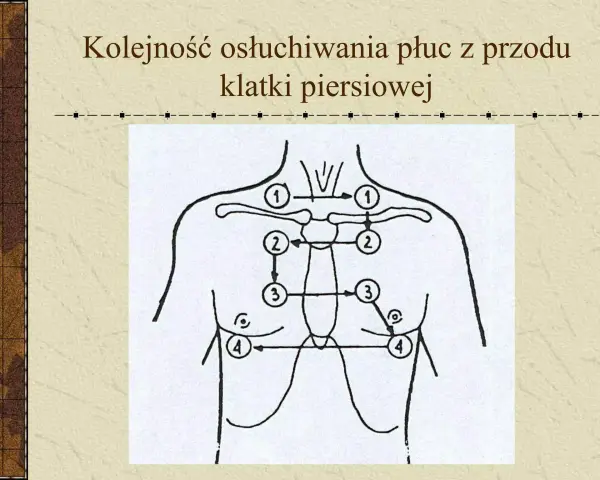 Schemat kolejności osłuchiwania płuc z przodu klatki piersiowej.