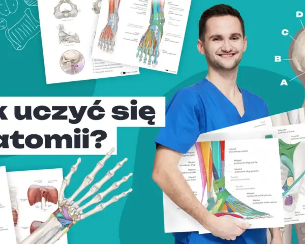 Uśmiechnięty student medycyny prezentuje materiały do kursu anatomii: szkielet, mięśnie i kości.