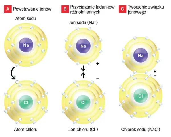 Tworzenie chlorku sodu (NaCl) z atomów sodu i chloru. Powstają jony Na+ i Cl-, które przyciągają się, tworząc związek.